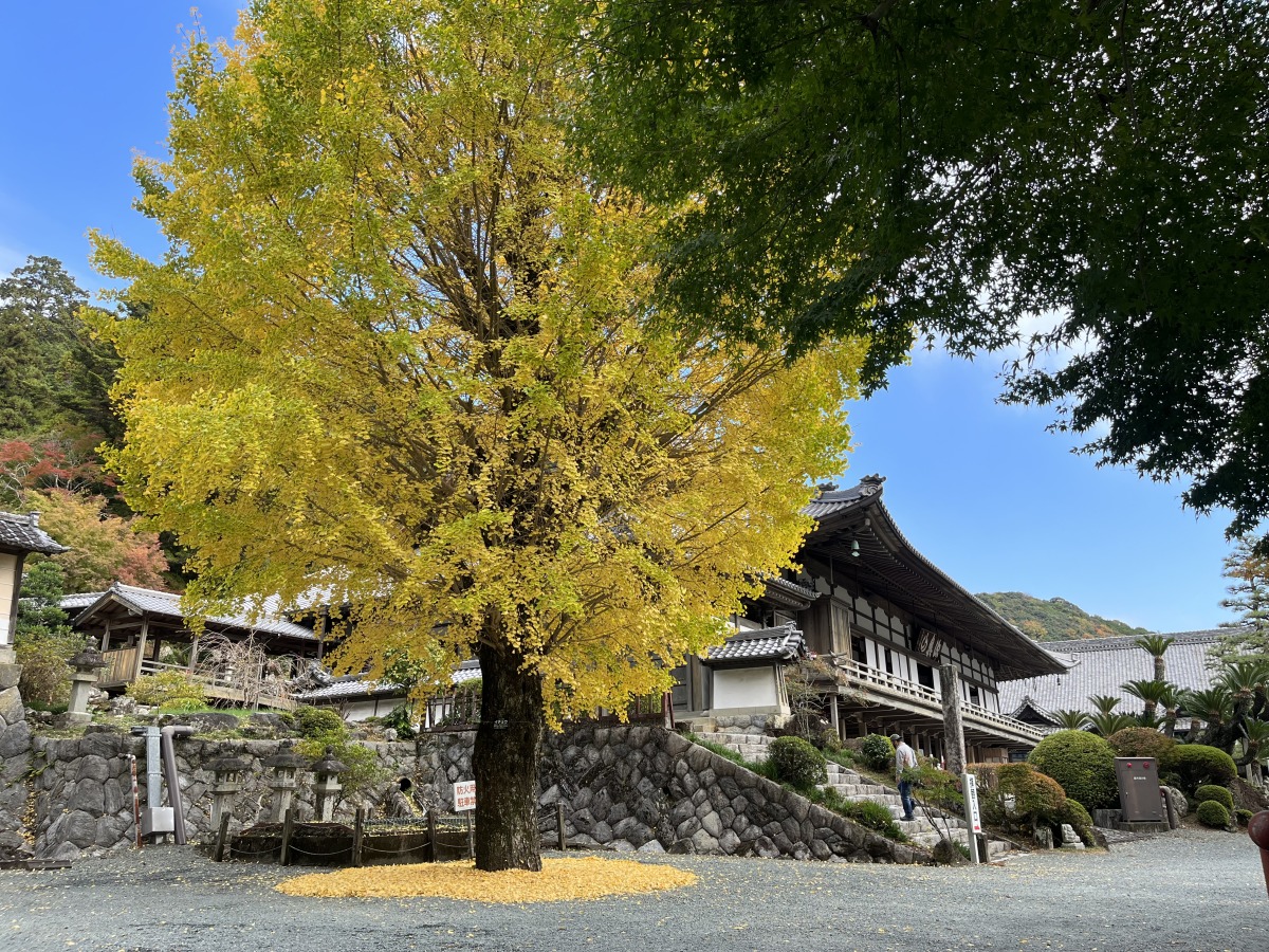 方広寺